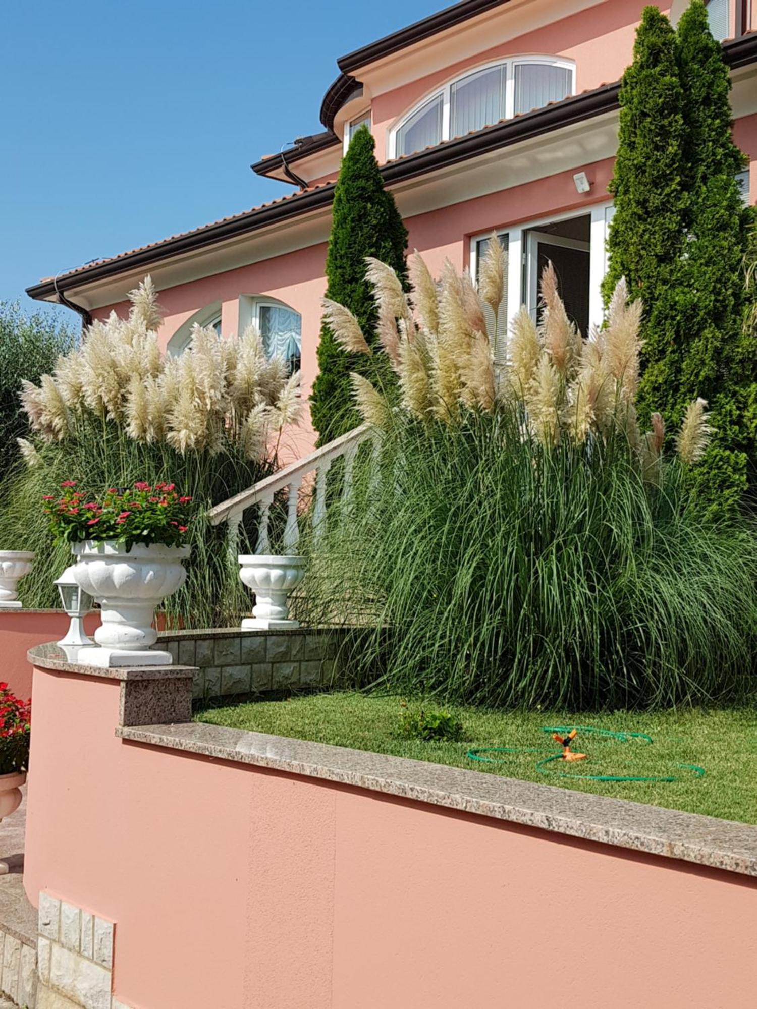 Apartments And Rooms Villa Chiara Крница Екстериор снимка